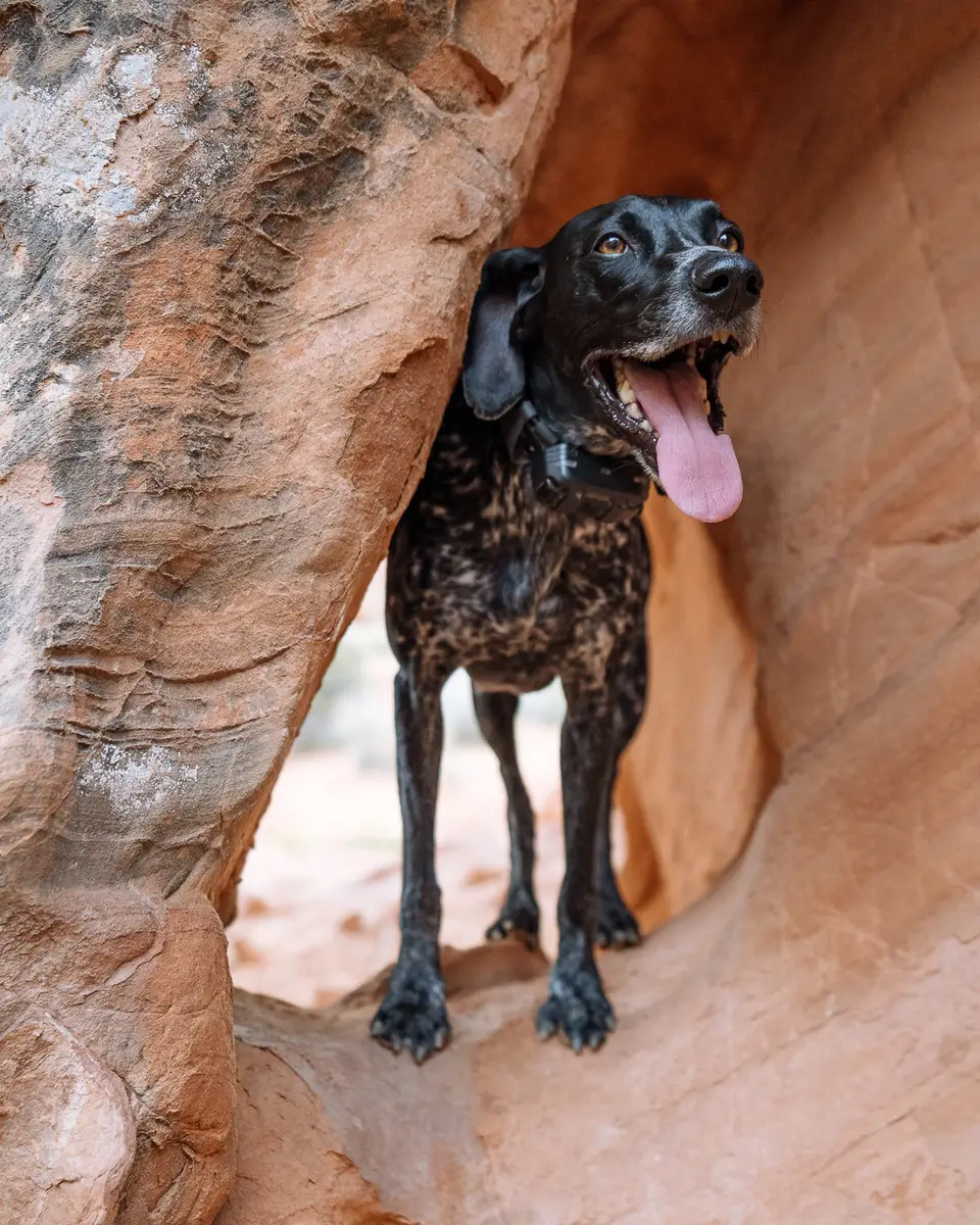 Penelope in the rocks