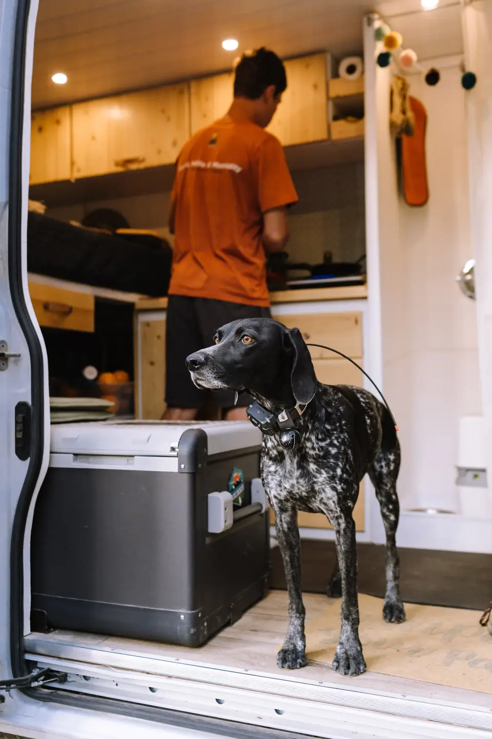 Penelope at the van door while Evan cooks inside