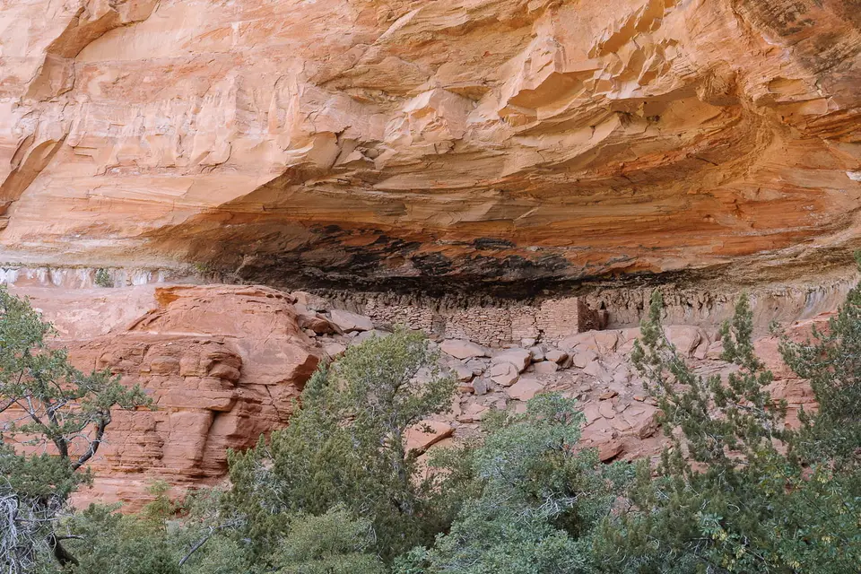 The ruins tucked under a long red rock overhang above the trees in Boynton Canyon