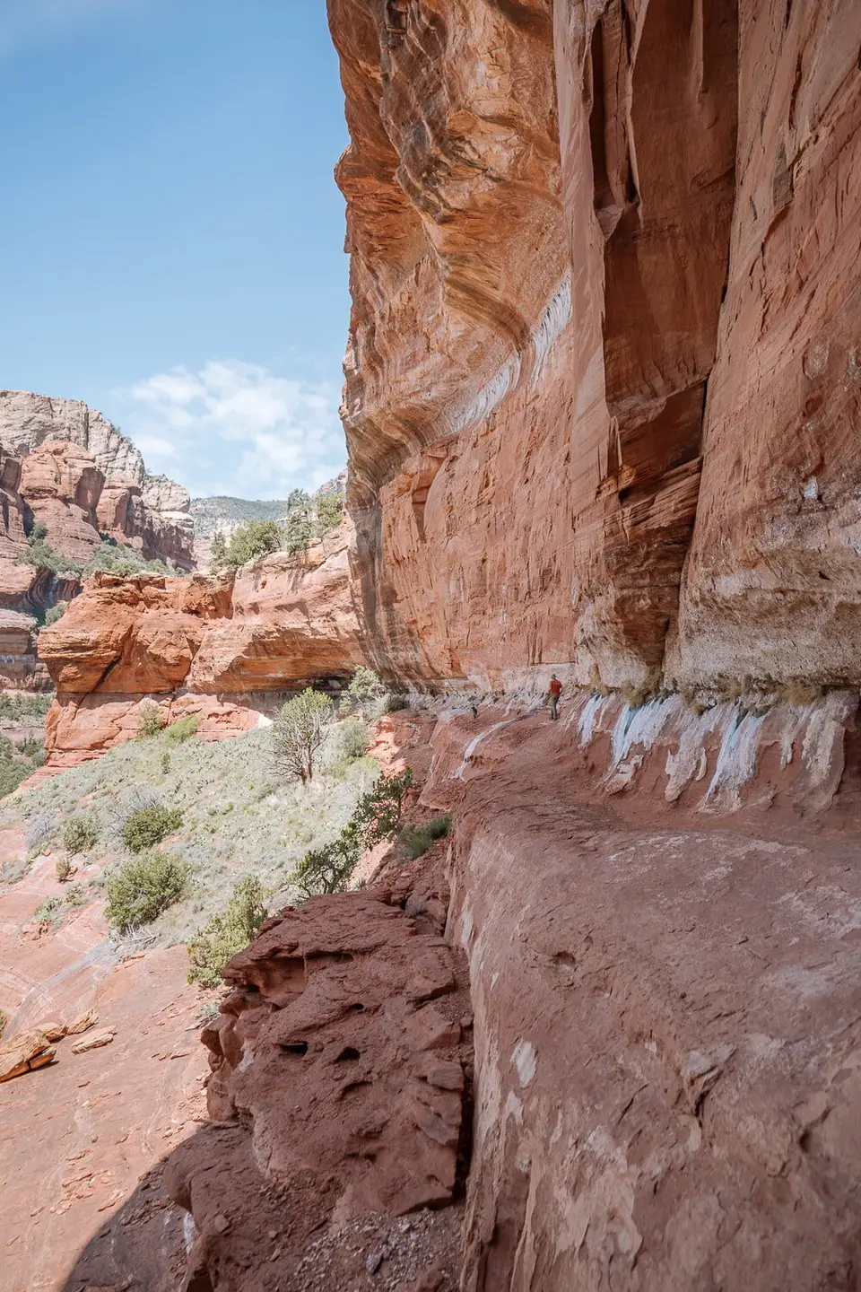 Canyon Walls