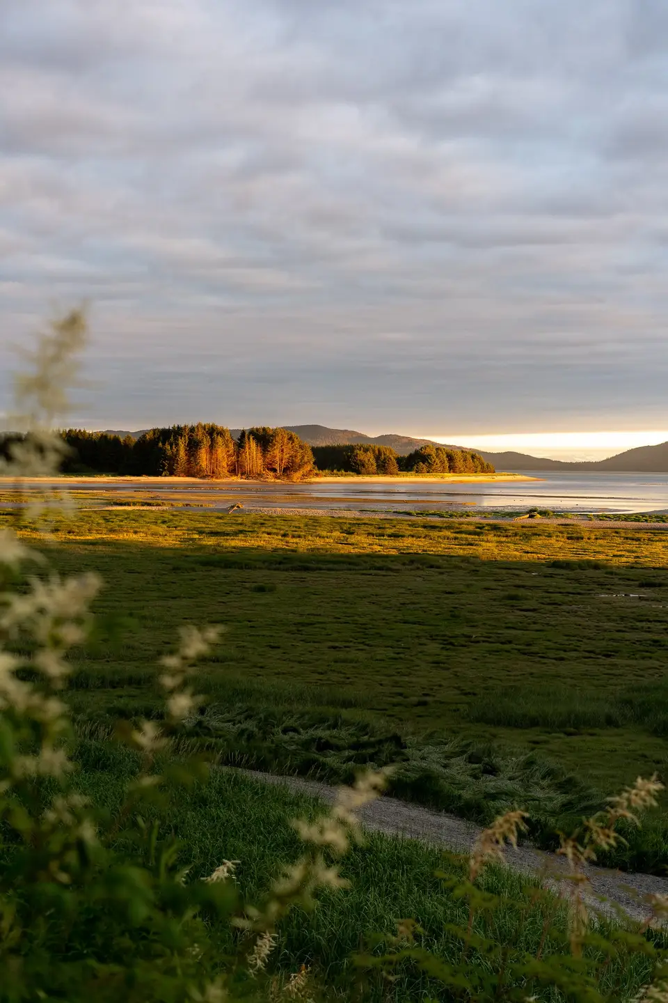 Tall grass in the foreground, a meadow and calm water toward a sunlit shoreline near Juneau, Alaska