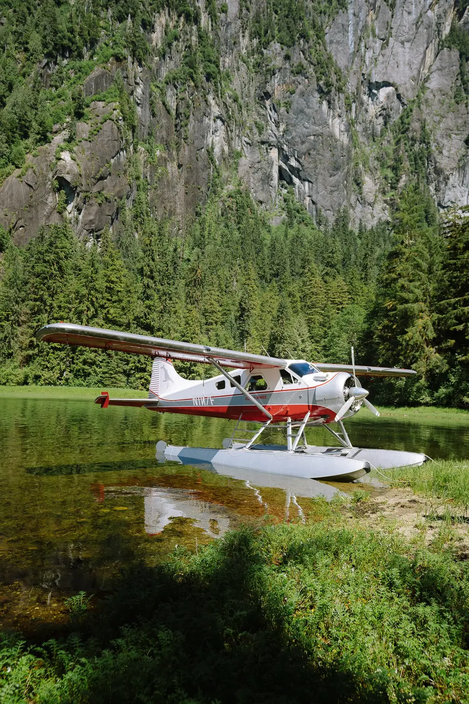 A red-and-white floatplane resting in a shallow, grassy cove below a forested cliff near Ketchikan, Alaska