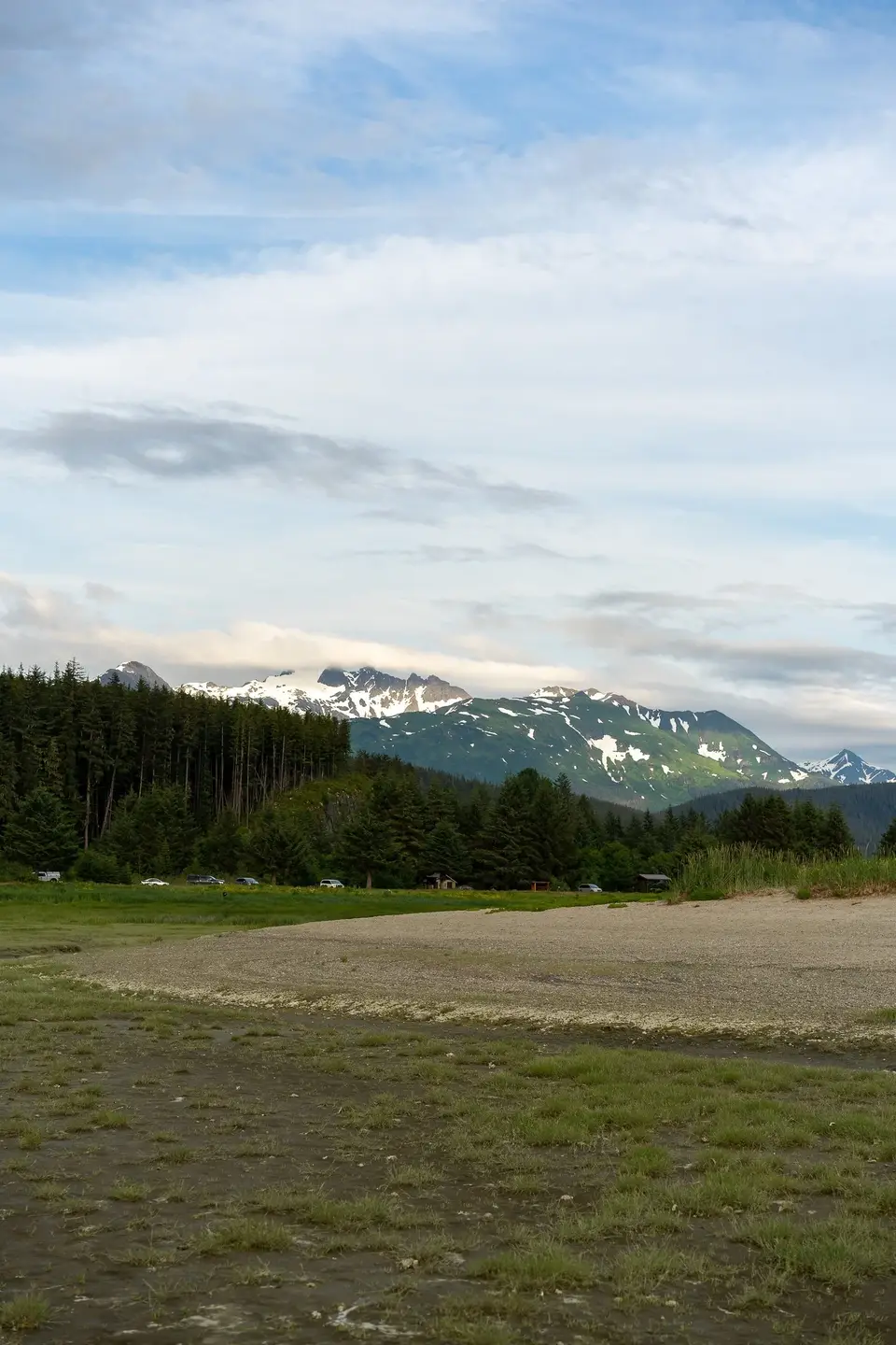 A grassy clearing below a treeline, snow-capped peaks beyond, near Juneau, Alaska