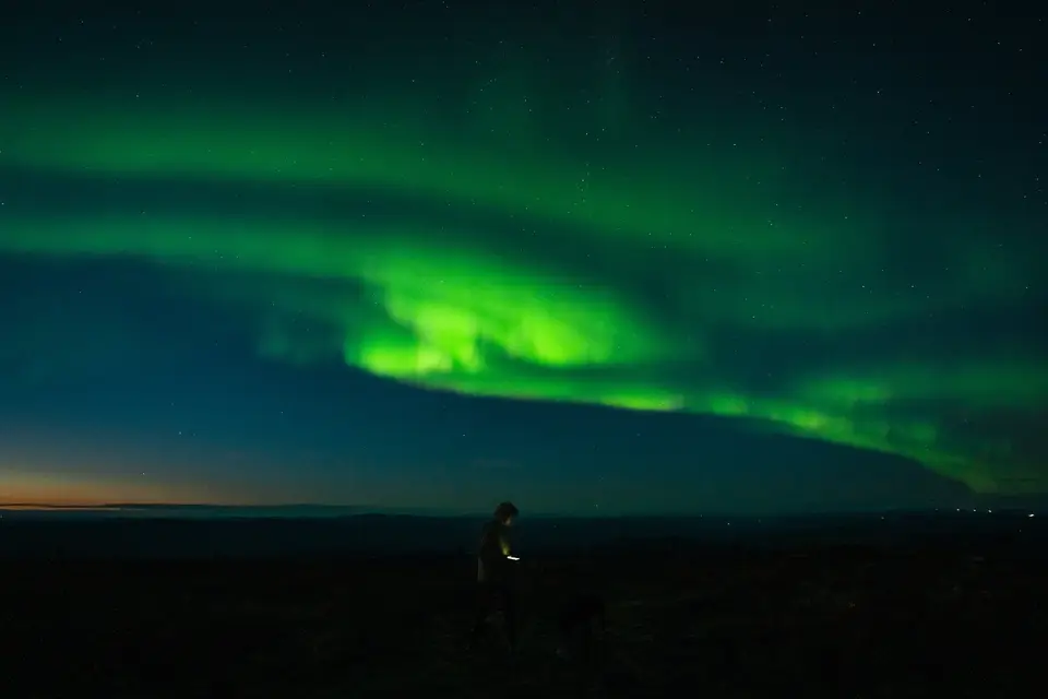Northern lights low on the horizon above a dark interior landscape near Fairbanks, Alaska