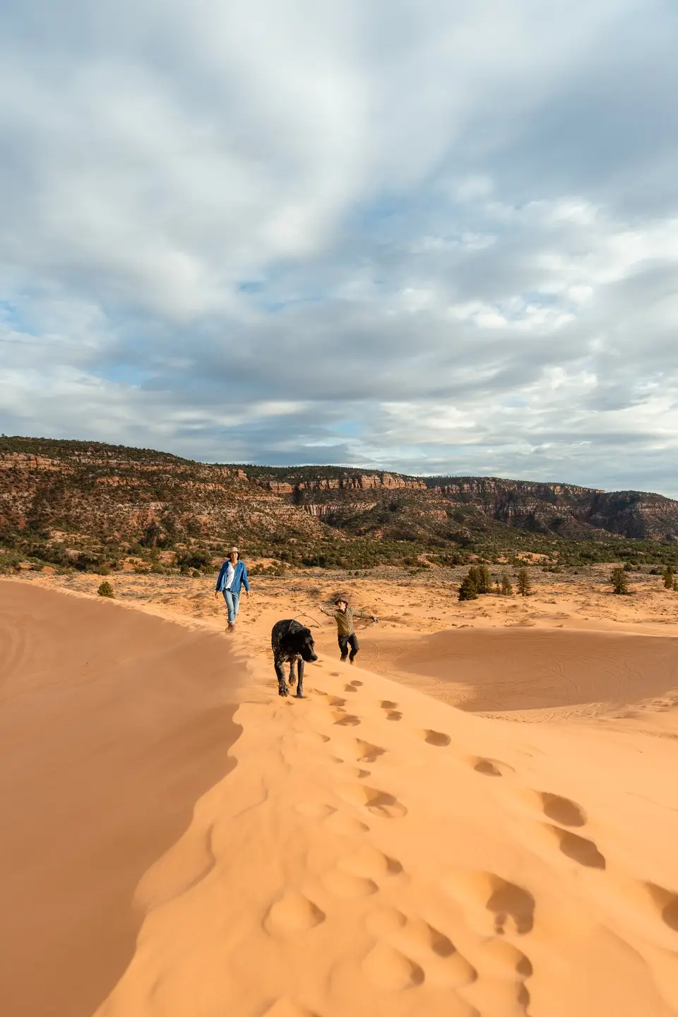 Dog and Humans running through the Coral Pink Sand Dunes State Park