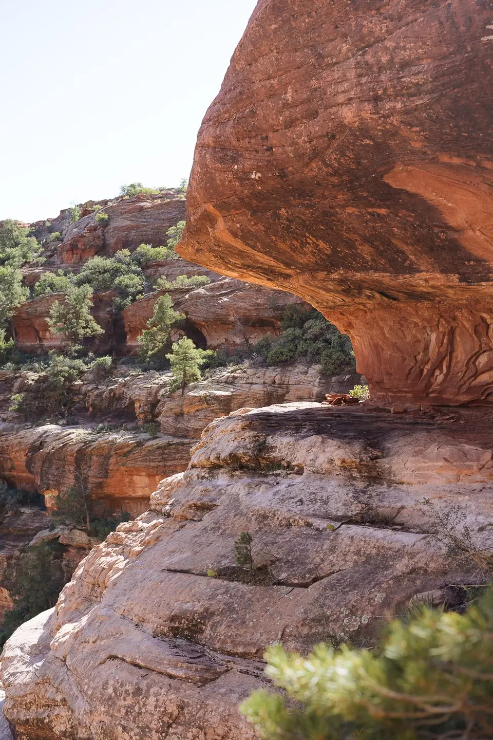 Cliff ledges above Boynton Canyon