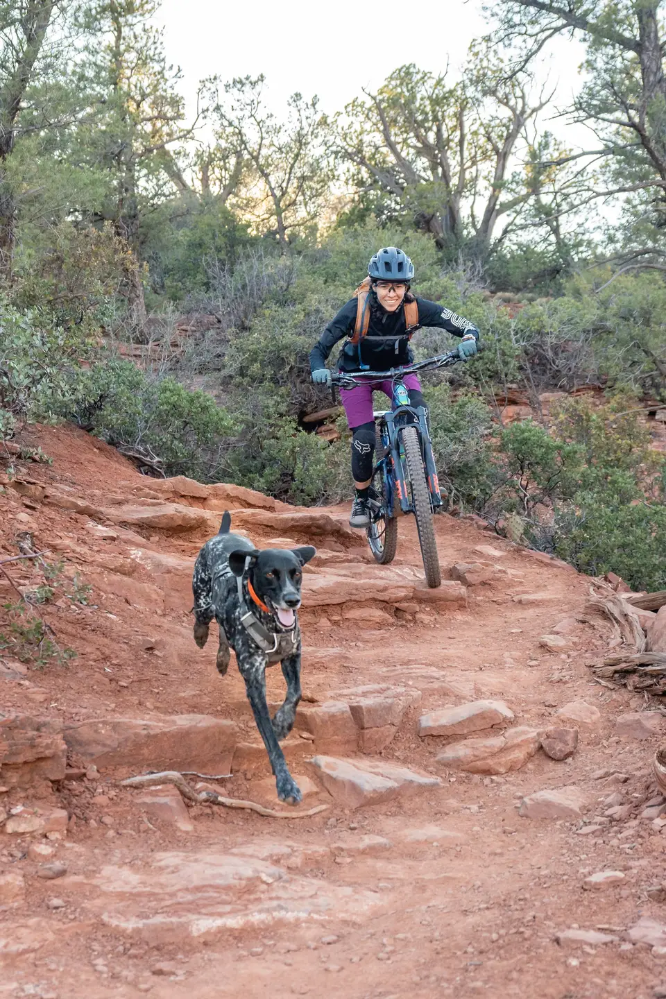 A woman mountain biking down a red rock trail in Sedona, a dog running ahead