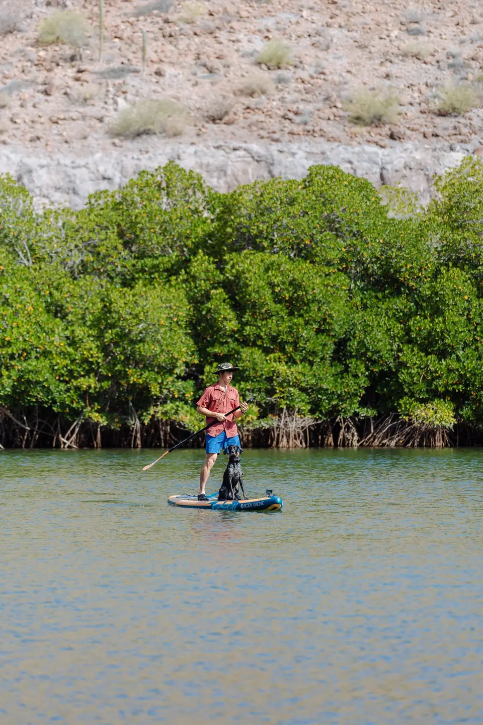 Paddleboarding a narrow mangrove channel in Bahía de Concepción, Baja California Sur