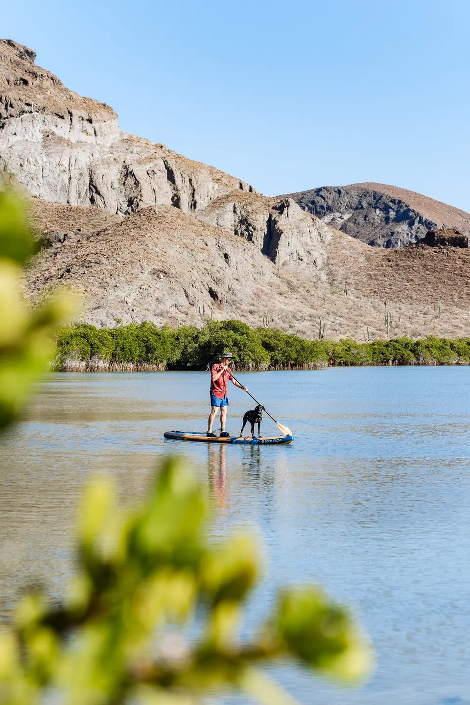 A paddleboarder on clear water with barren mountains behind near La Paz, Baja California Sur