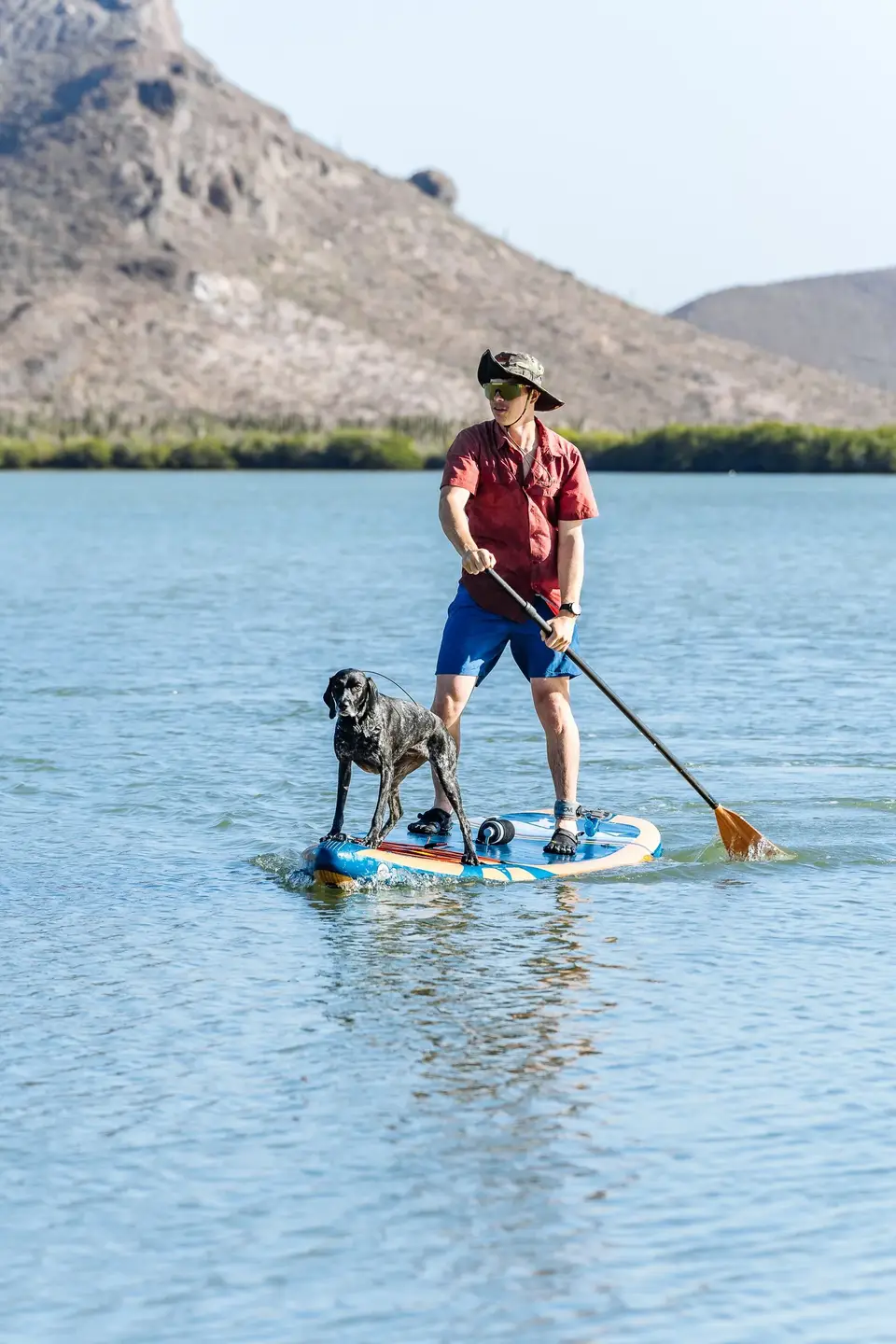 Evan paddleboarding with Penelope at the bow on calm water near La Paz, Baja California Sur
