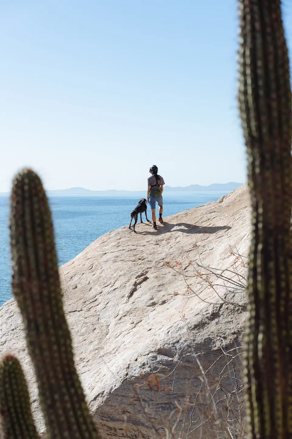 Two figures on a white outcrop framed by cardón cactus at La Ventana, Baja California Sur