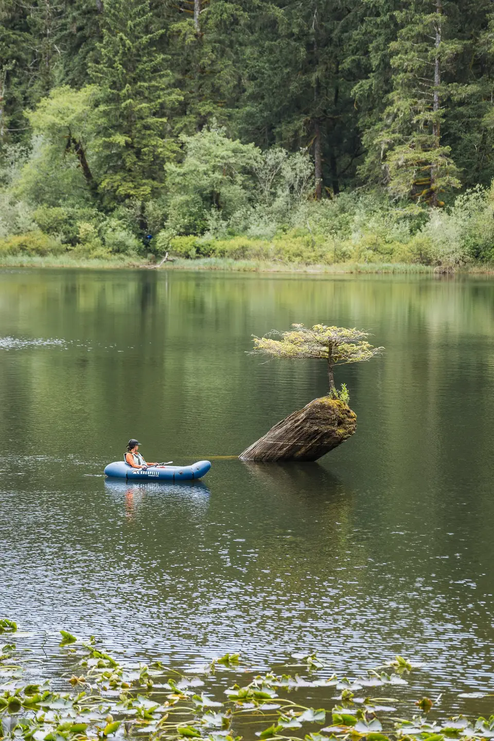 Lily pads on a still pond with a small blue packraft in the distance near Port Renfrew, Vancouver Island