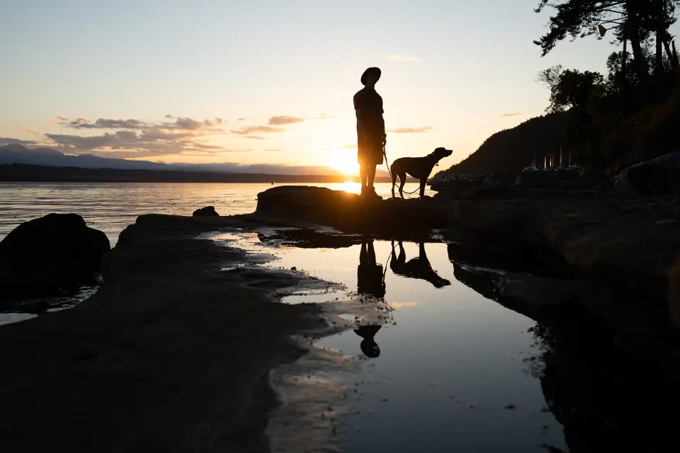 Silhouettes of a person and a dog on shoreline rocks at sunset, Hornby Island, British Columbia