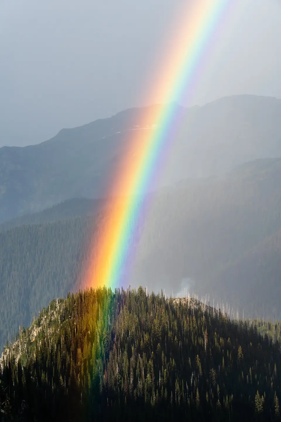 A full rainbow over a forested ridge in Revelstoke, British Columbia
