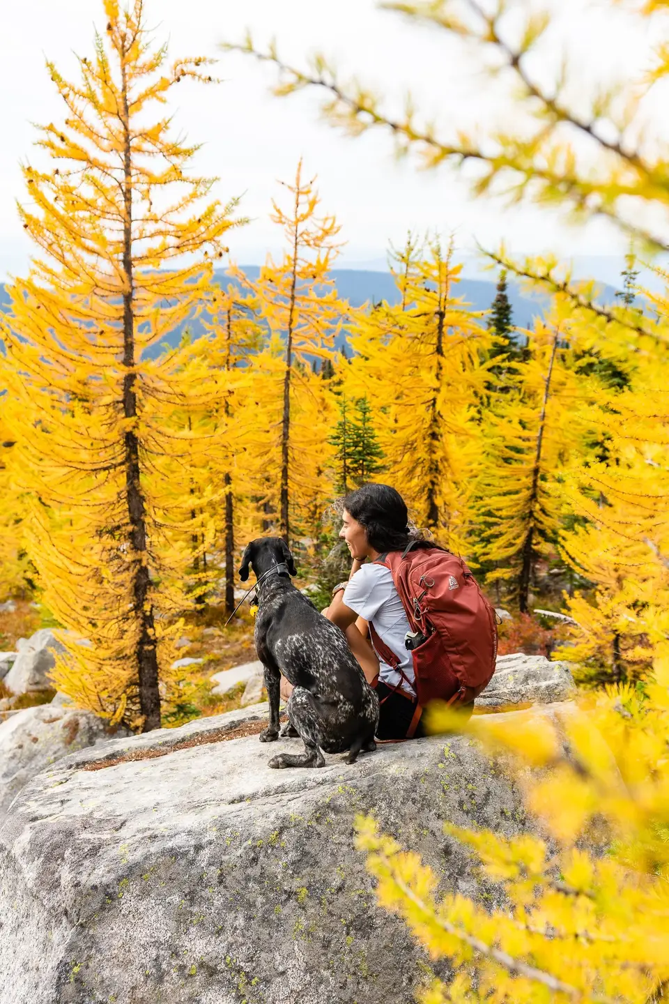 Melanny and Penelope sitting on a boulder among golden larches near Nelson, British Columbia