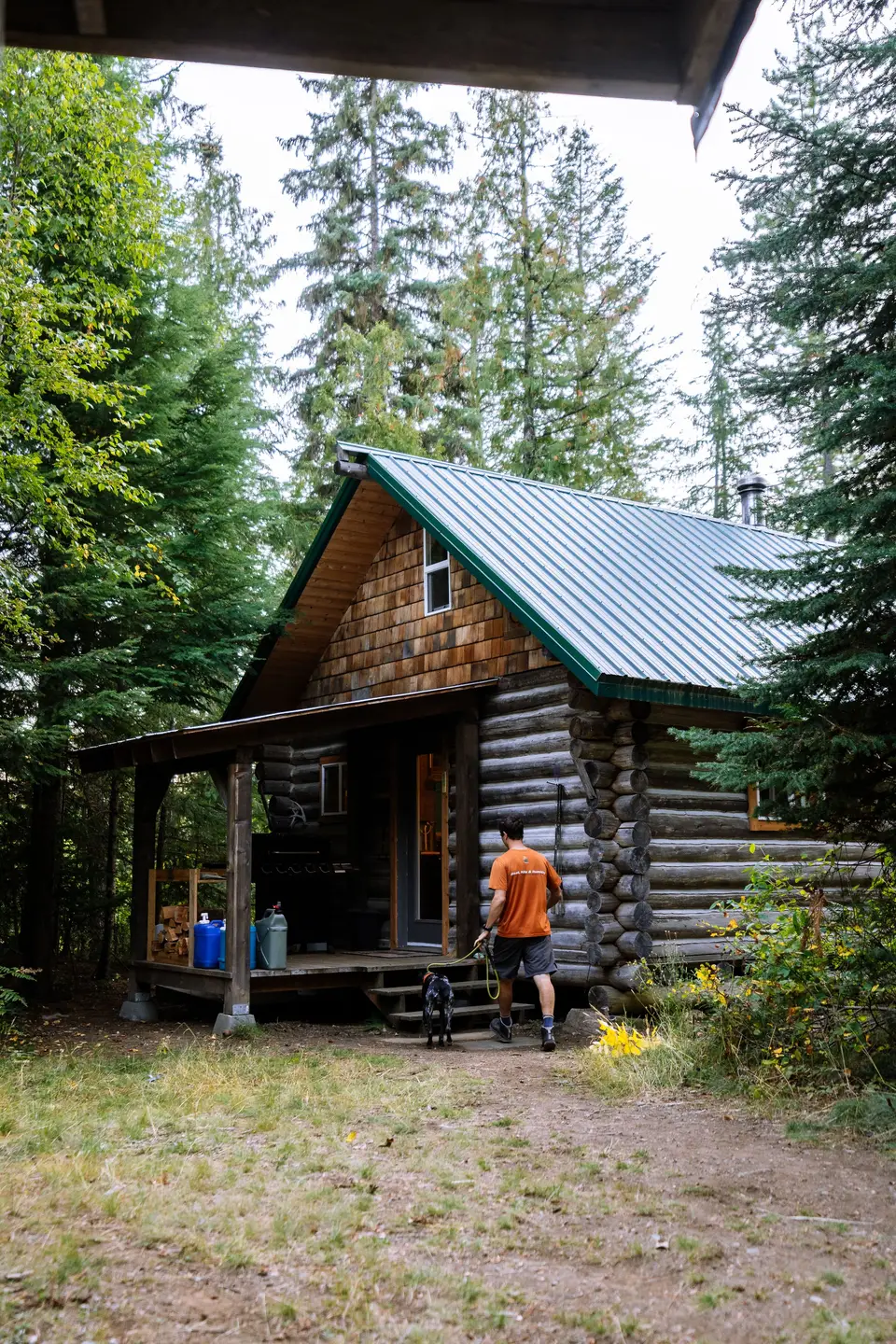 A man walking with a black dog on a leash towards a rustic log cabin surrounded by tall pine trees.