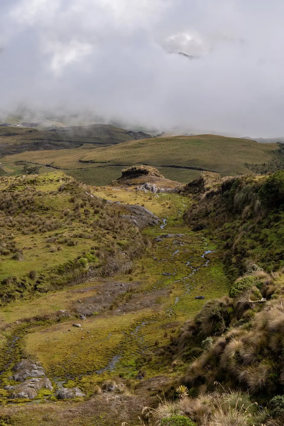 Rolling green hills under a heavy, misted sky in the Colombian Andes