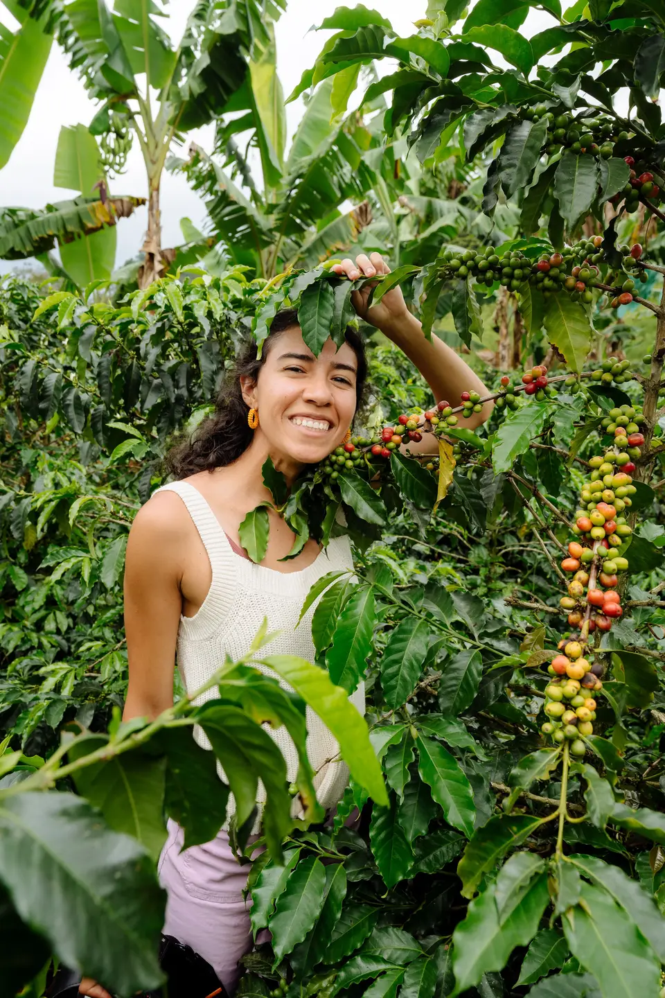 Melanny among coffee plants, holding a leafy branch overhead, in Colombia
