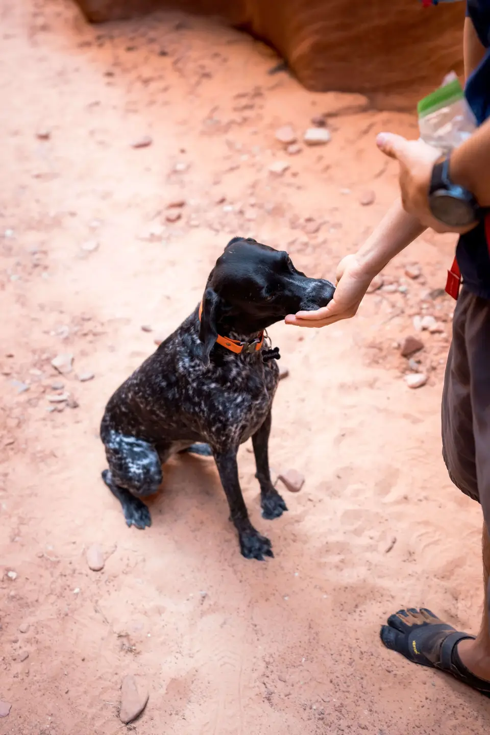 Dog treats in antelope canyon
