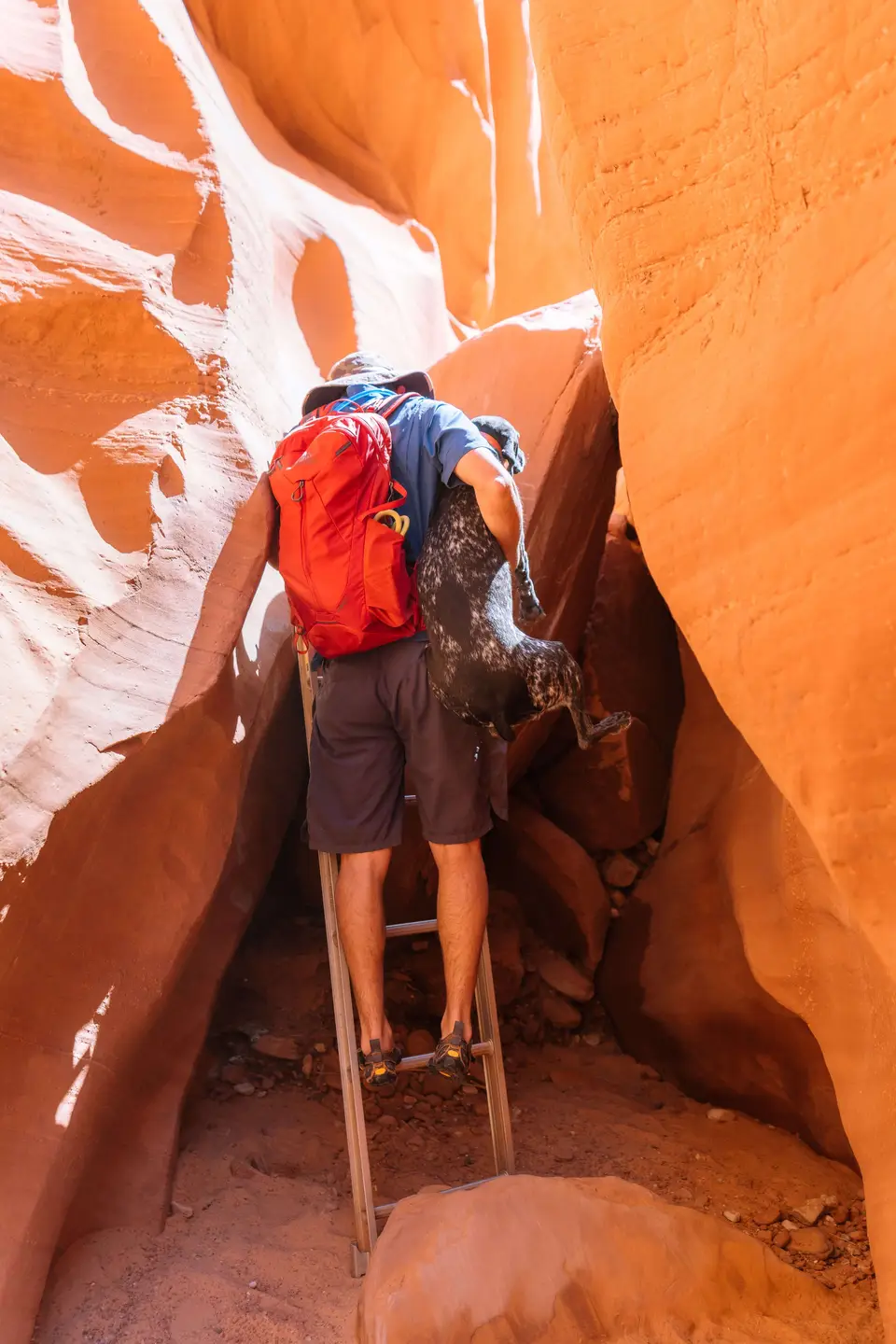 ladder obstacle with a dog in antelope canyon