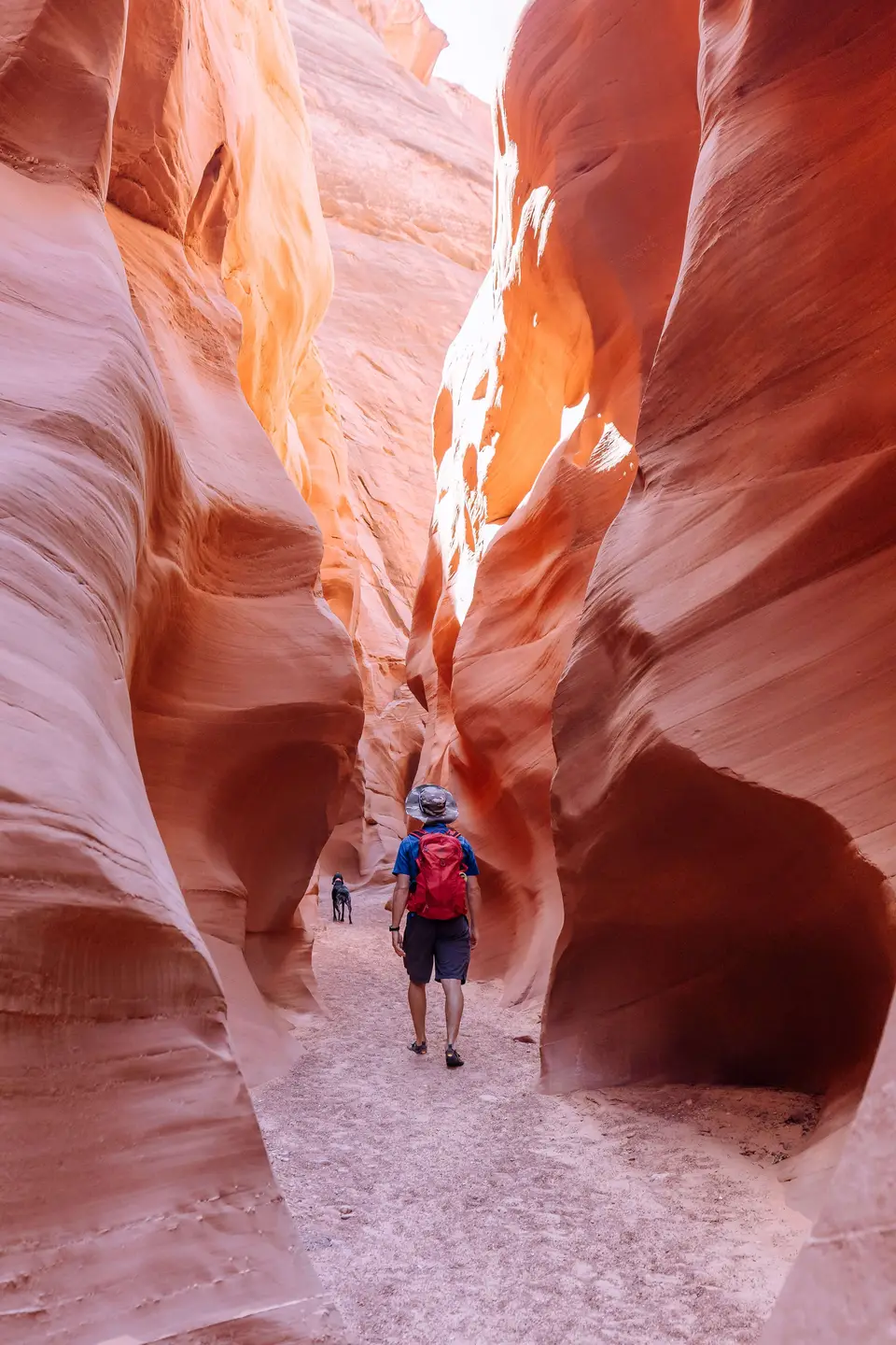 Hiking antelope canyon with a dog