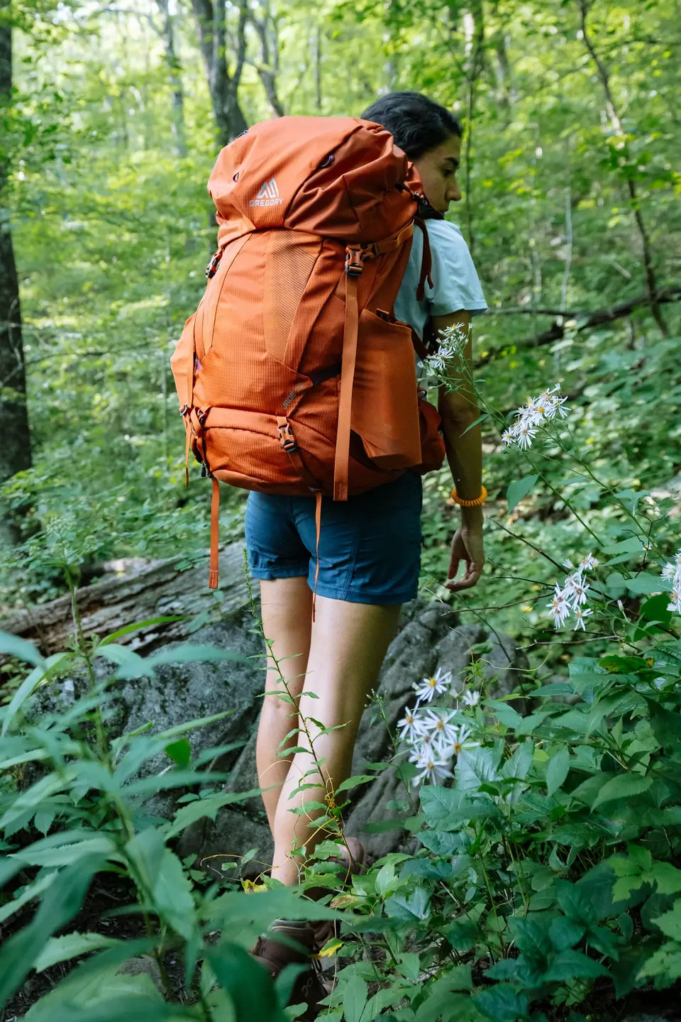Melanny hiking past white asters with an orange Gregory pack on Blood Mountain, Georgia