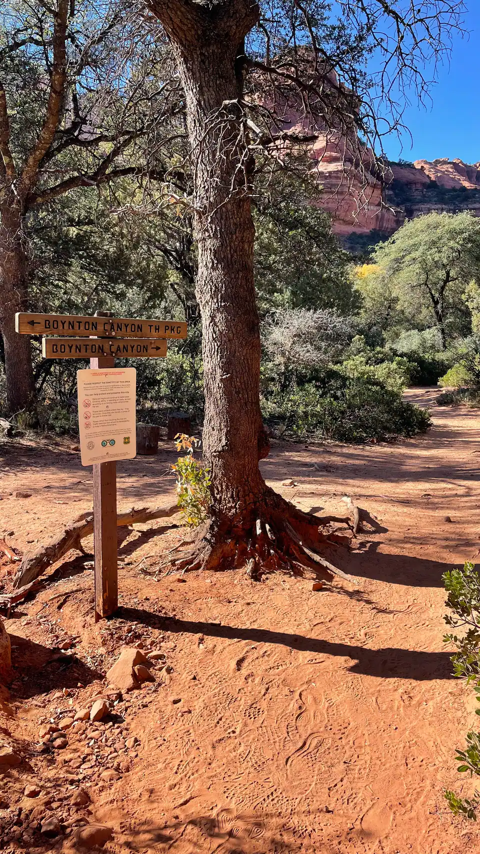 Boynton Canyon Trail Intersection