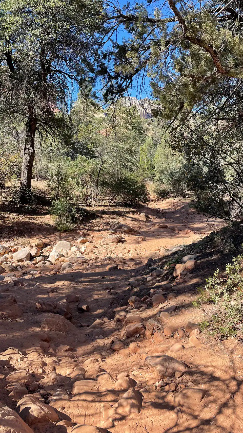 Rocky wash on Boynton Canyon Trail