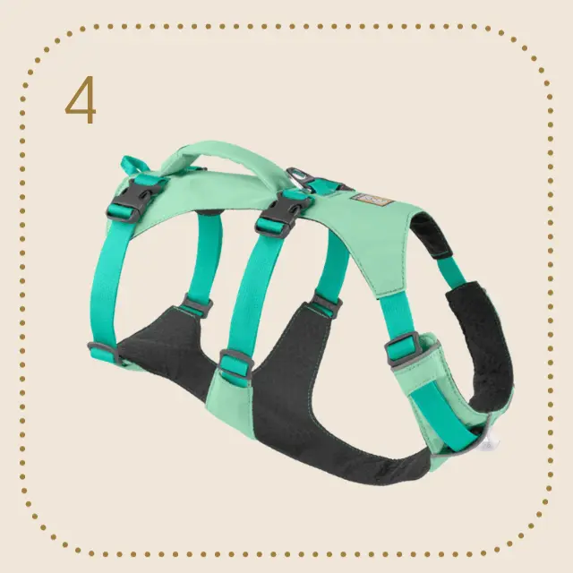 Ruffwear Flagline dog harness