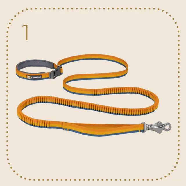 Ruffwear Roamer bungee dog leash
