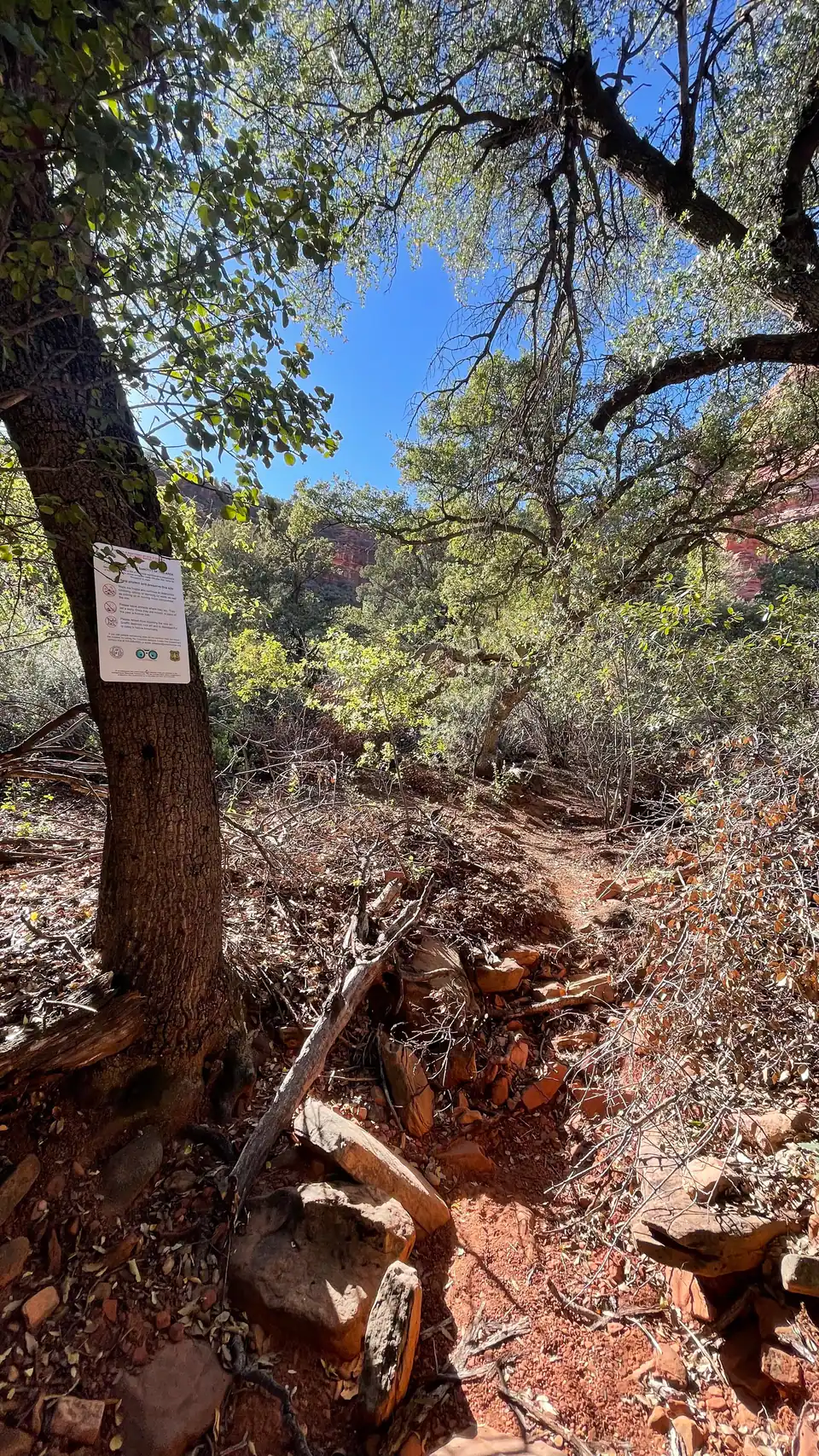 US Forest Service sign posted on tree