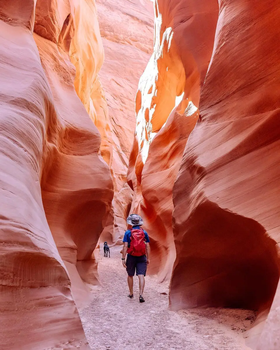 A hiker and a dog walking a dry slot canyon